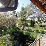 Apartmán Und Auf Dem Pferdehof Burgpreppach