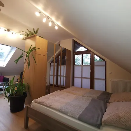 Und Auf Dem Pferdehof Apartment